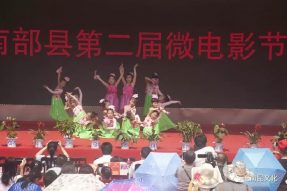 “親水南部 微影幸?！薄八拇ㄞr(nóng)信杯”南部縣第二屆微電影節(jié)開幕啦！